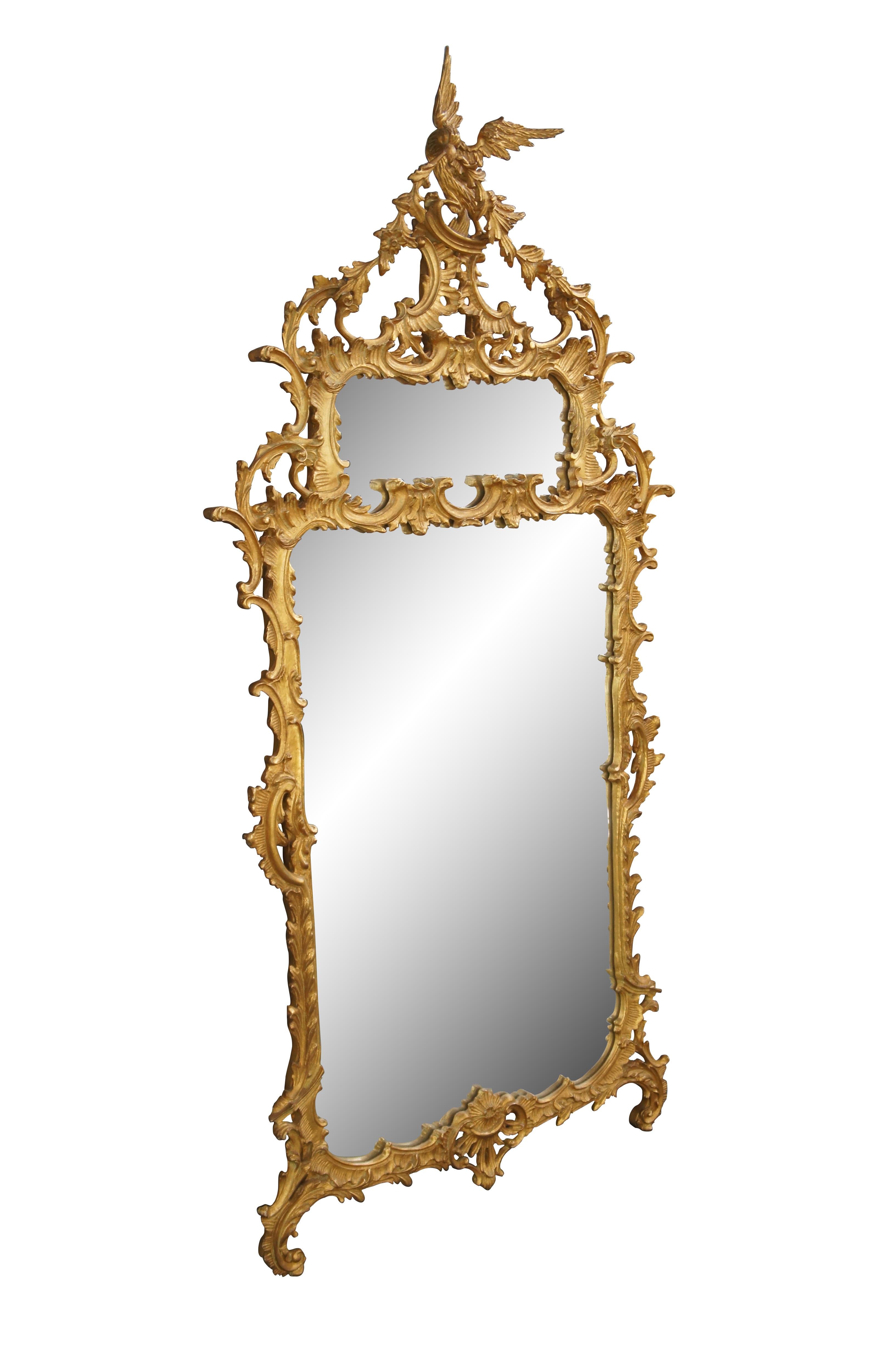 Magnifique miroir Chippendale du XVIIIe siècle. Ce grand miroir Chippendale est d'une taille impressionnante de 80 pouces. Fini en or patiné avec un cadre spectaculaire de volutes, de festons et de feuillages rococo percés A.C.C. Le Phoenix, ou Ho