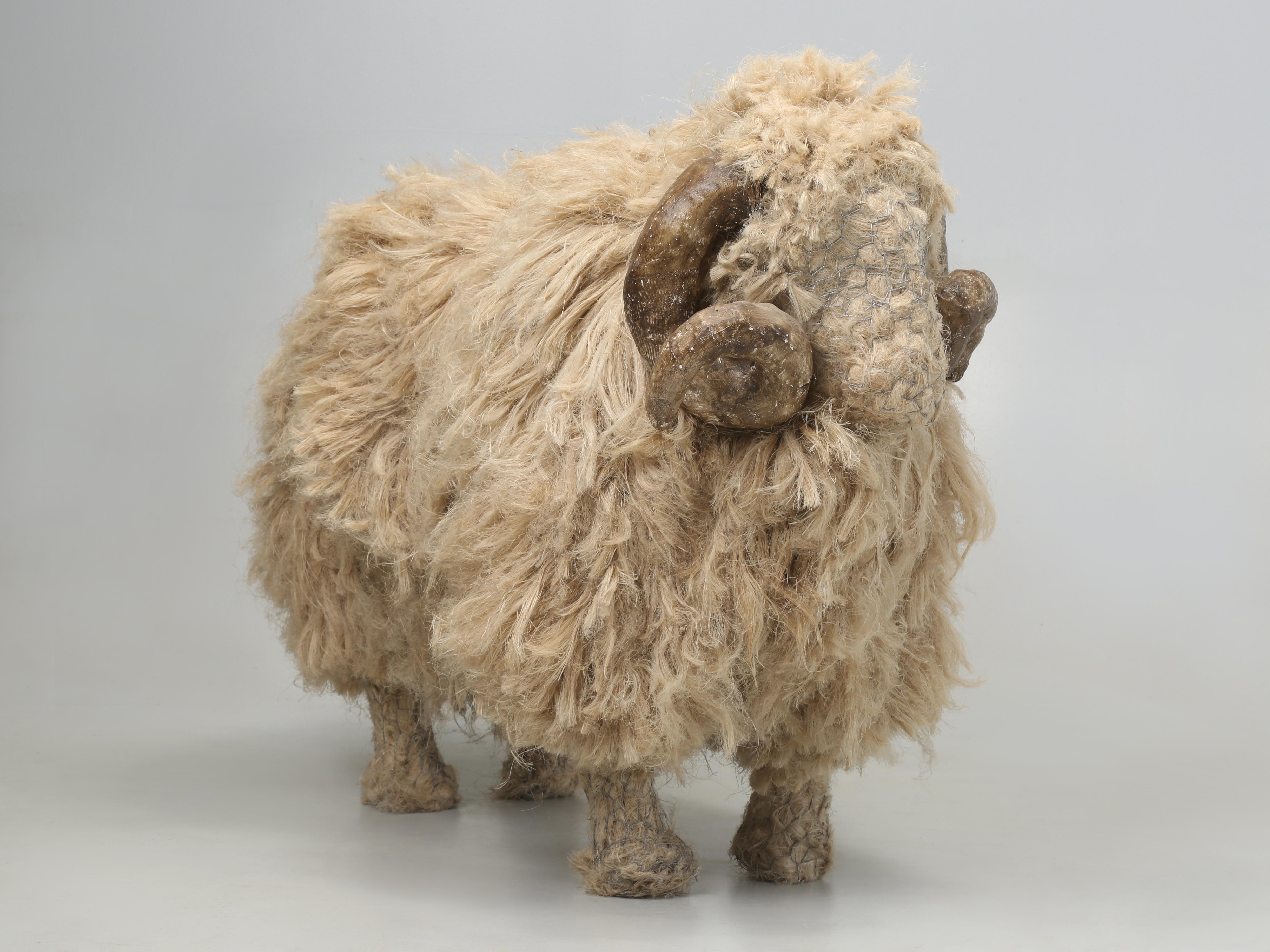 Giant Life-Size Vintage Sheep or Ram constructed from Hemp in England which was created by an award winning female artist (sorry too old to remember her name), or so we were told that specialized in animals sculpted from Hemp. Unlike our Old Plank