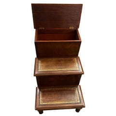 Vintage English Library Steps