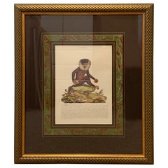 Vintage English Midcentury Engraved Print of Monkey