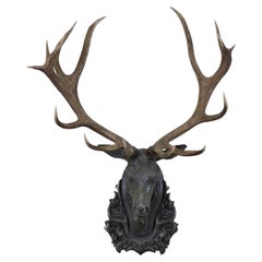 Vintage English Red Stag Trophy Mount