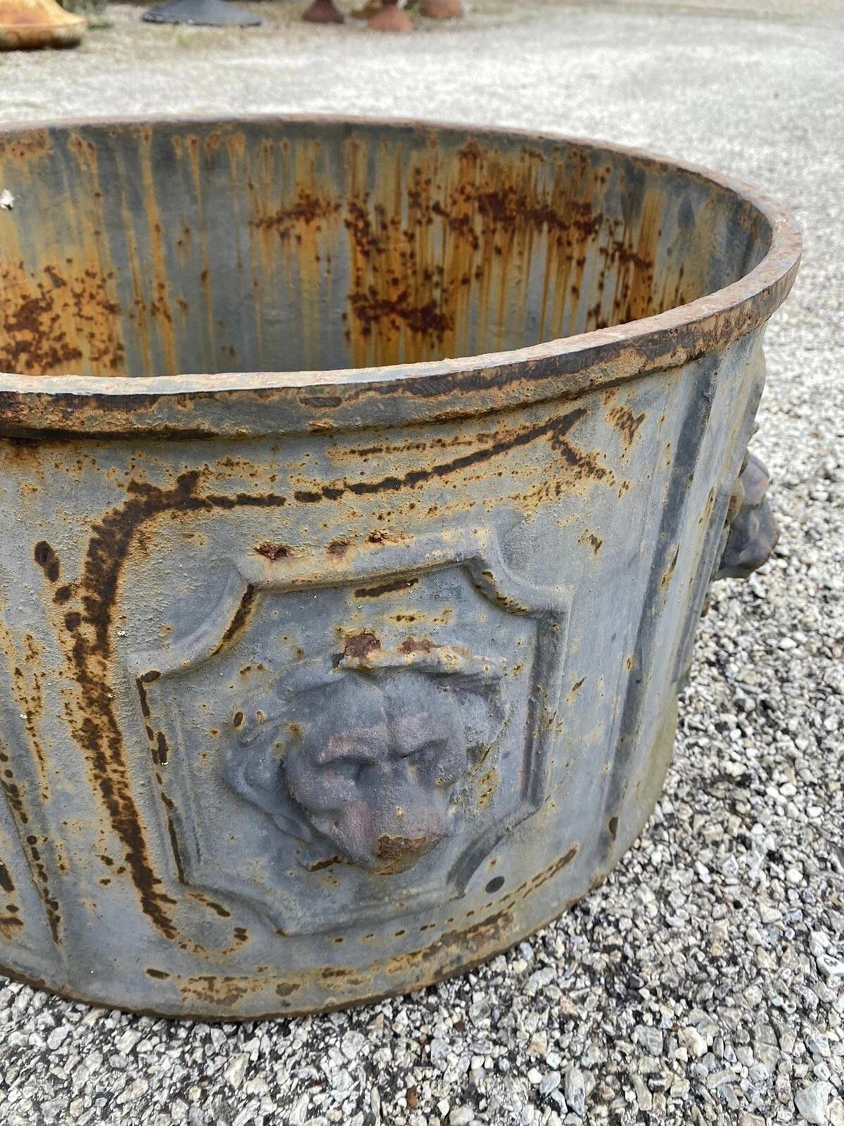 Vintage English Regency Cast Iron 20