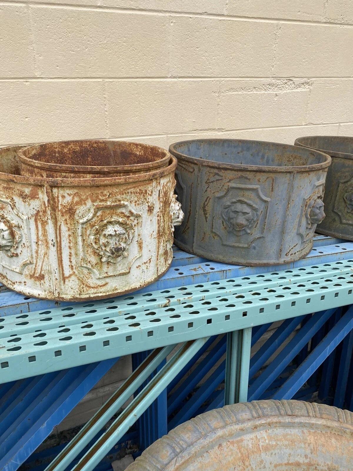 Vintage English Regency Cast Iron 20