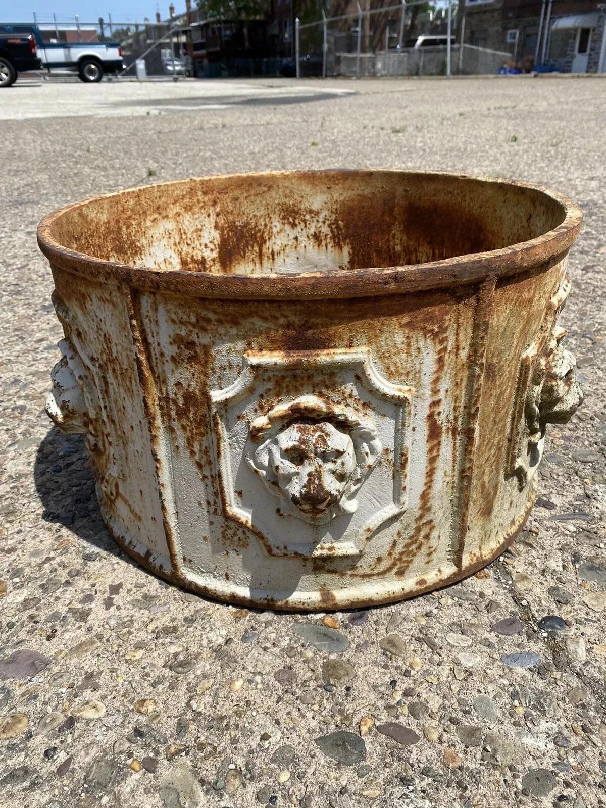 Vintage English Regency Cast Iron 20