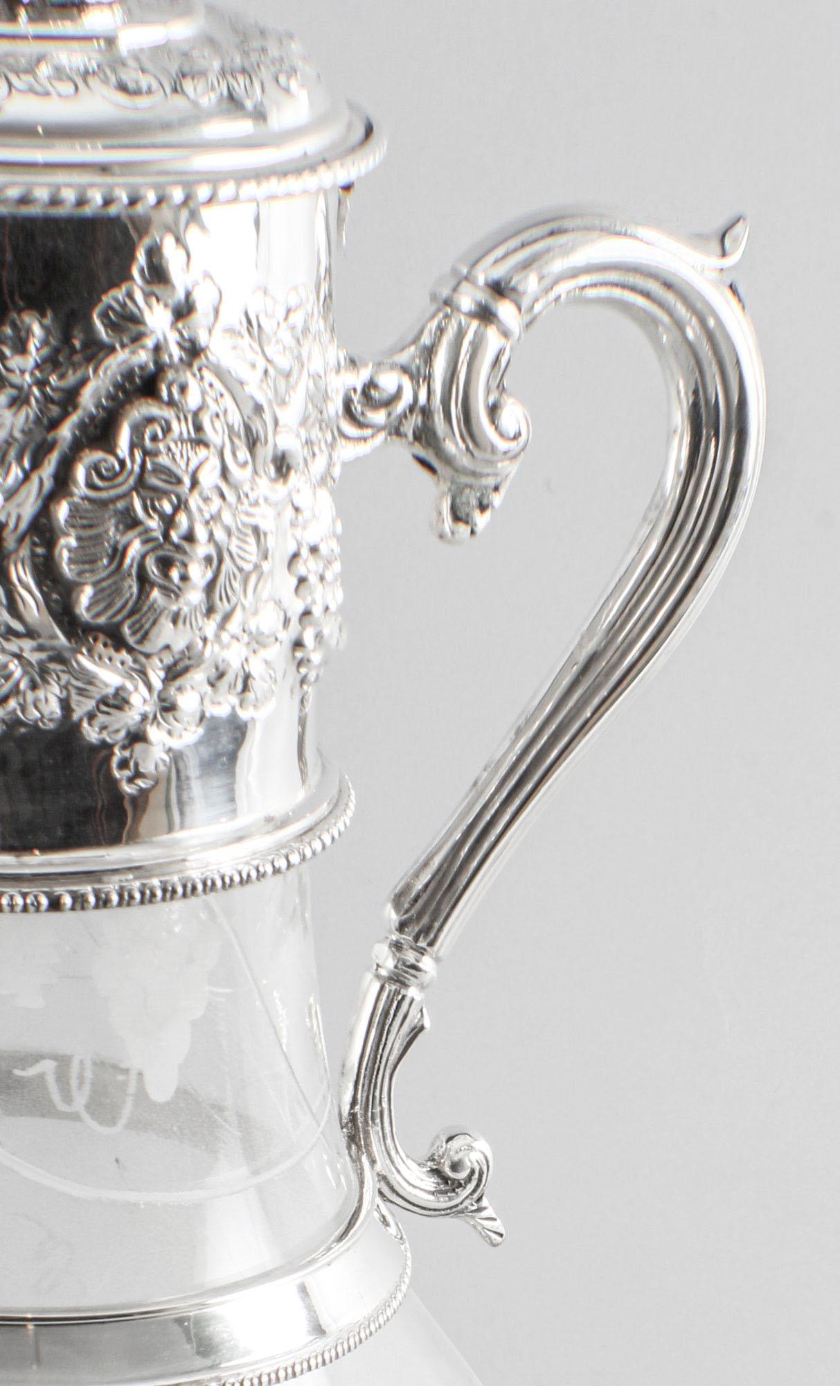 Vintage English Silver Plated and Glass Claret Jug, 20th Century 10