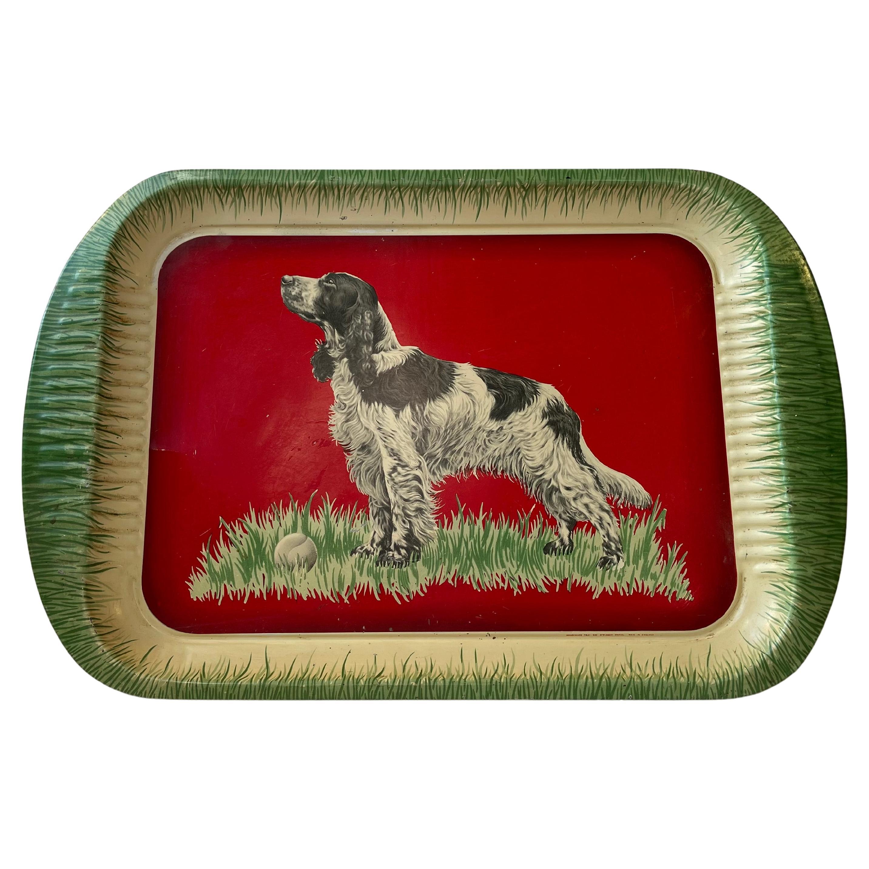 Vintage English Tin Plate Kitsch Tray with Springer Spaniel, 1950s For Sale