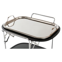 Vintage Enzo Mari Tray for Zani & Zani, 1980
