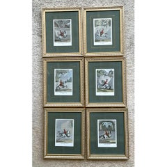 Vintage Equestrian Engravings in Gilt Frames - Set of 6