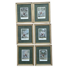 Vintage Equestrian Engravings in Gilt Frames - Set of 6