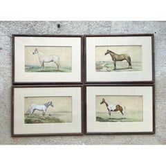 Vintage Equestrian Watercolor Prints in Wood Frames - Set of 4