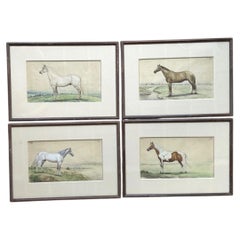 Vintage Equestrian Watercolor Prints in Wood Frames - Set of 4