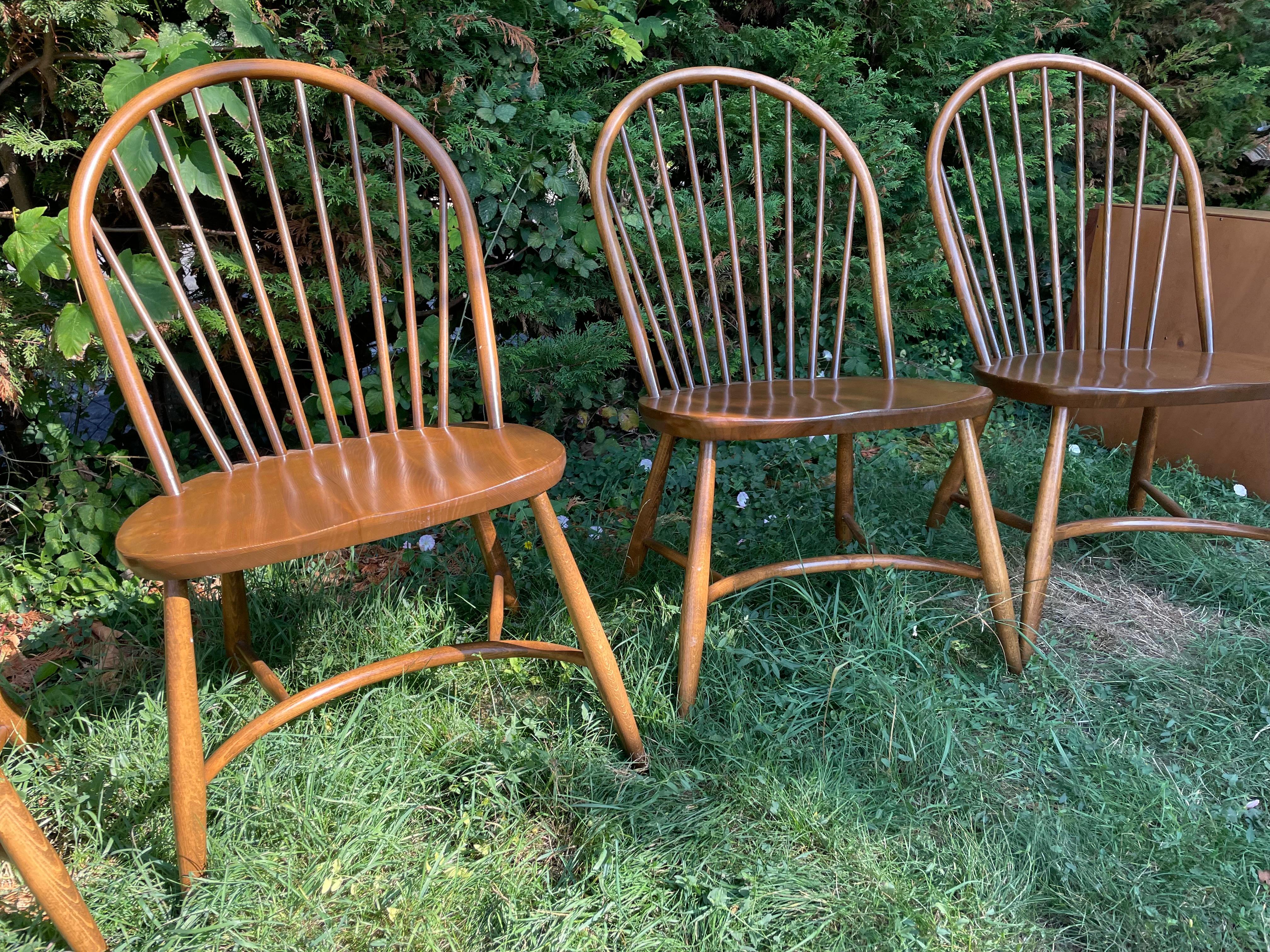 Mid-Century moderno Vintage Ercol Latimer Steam Bent Chairs Modello 909 (C.1970) Set di Quattro Rare in vendita