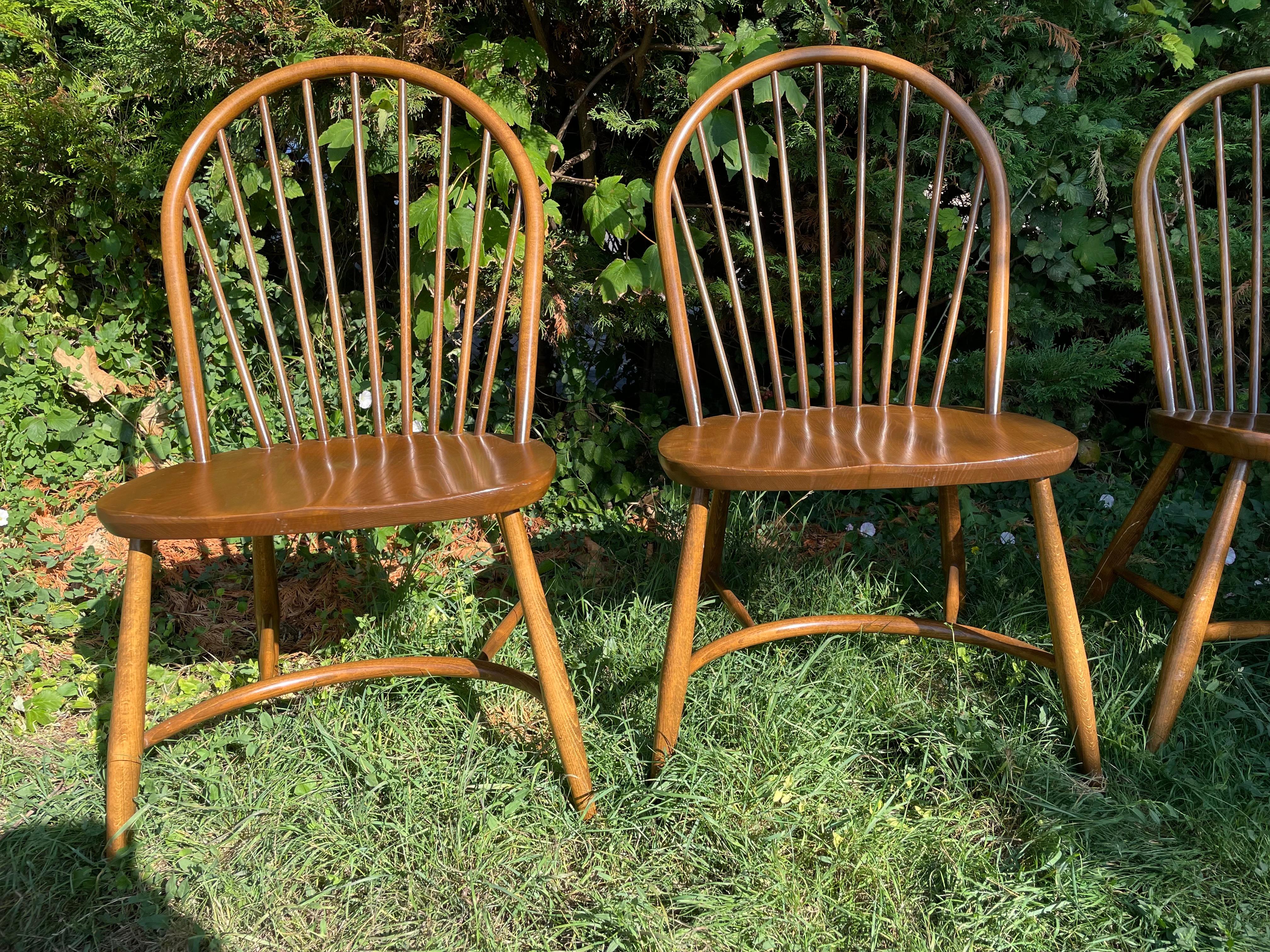 Britannico Vintage Ercol Latimer Steam Bent Chairs Modello 909 (C.1970) Set di Quattro Rare in vendita