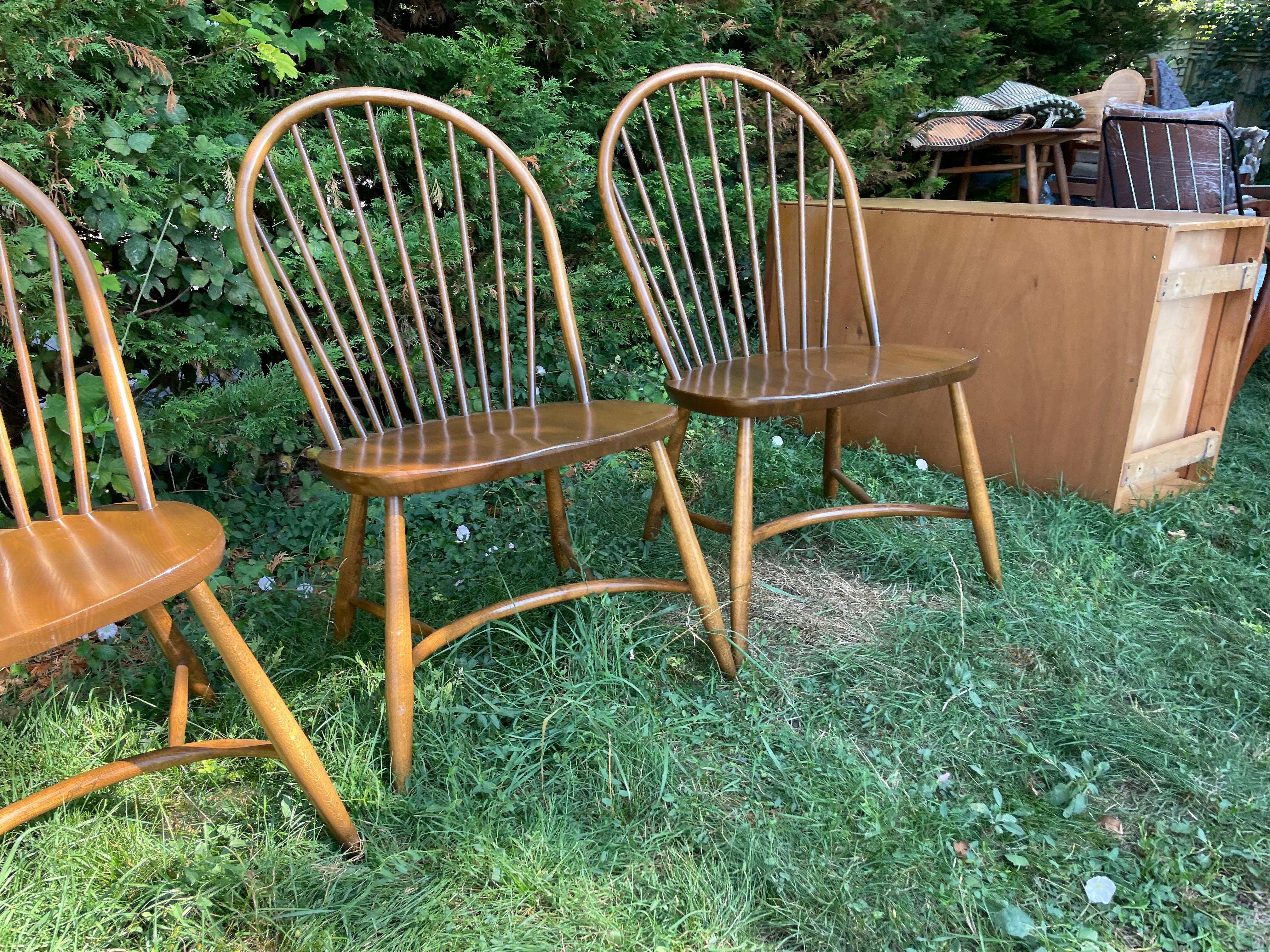 Fine XX secolo Vintage Ercol Latimer Steam Bent Chairs Modello 909 (C.1970) Set di Quattro Rare in vendita