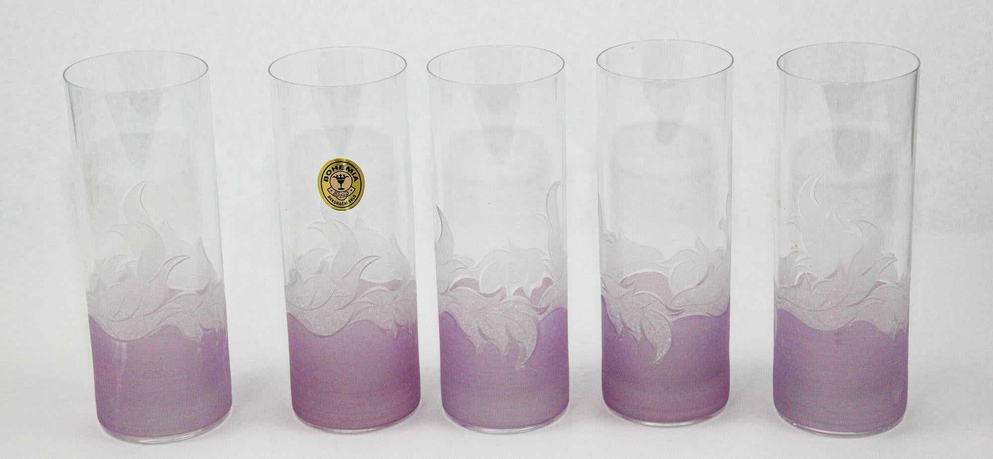 Vaso de cristal soplado a boca y grabado a mano, muy ligero y delicado juego de 5 vasos tumbler highball.
Sirve cócteles clásicos y fríos en estos vasos altos Bohemia con un diseño de fondo de follaje en color lavanda esmerilado.
Estos vasos altos y