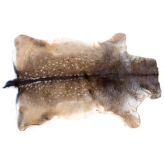 Vintage European Deer Skin Hide