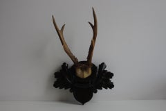 Vintage European Roe Deer Antlers on Hand-Carved Black Forest Plaque, circa 1930