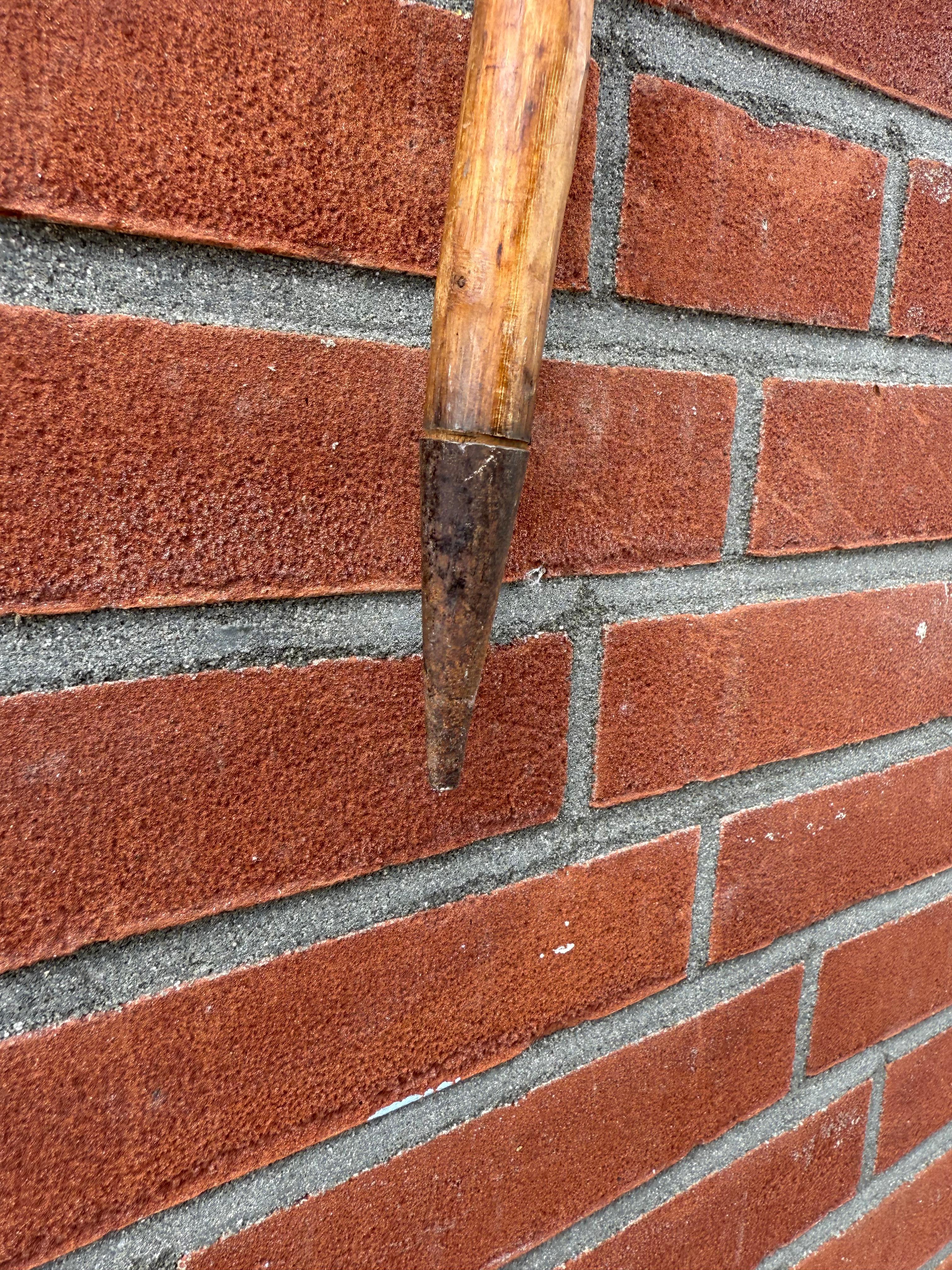 Bastone da passeggio souvenir europeo d'epoca con stemmi di viaggio, metà del XX secolo in vendita 6