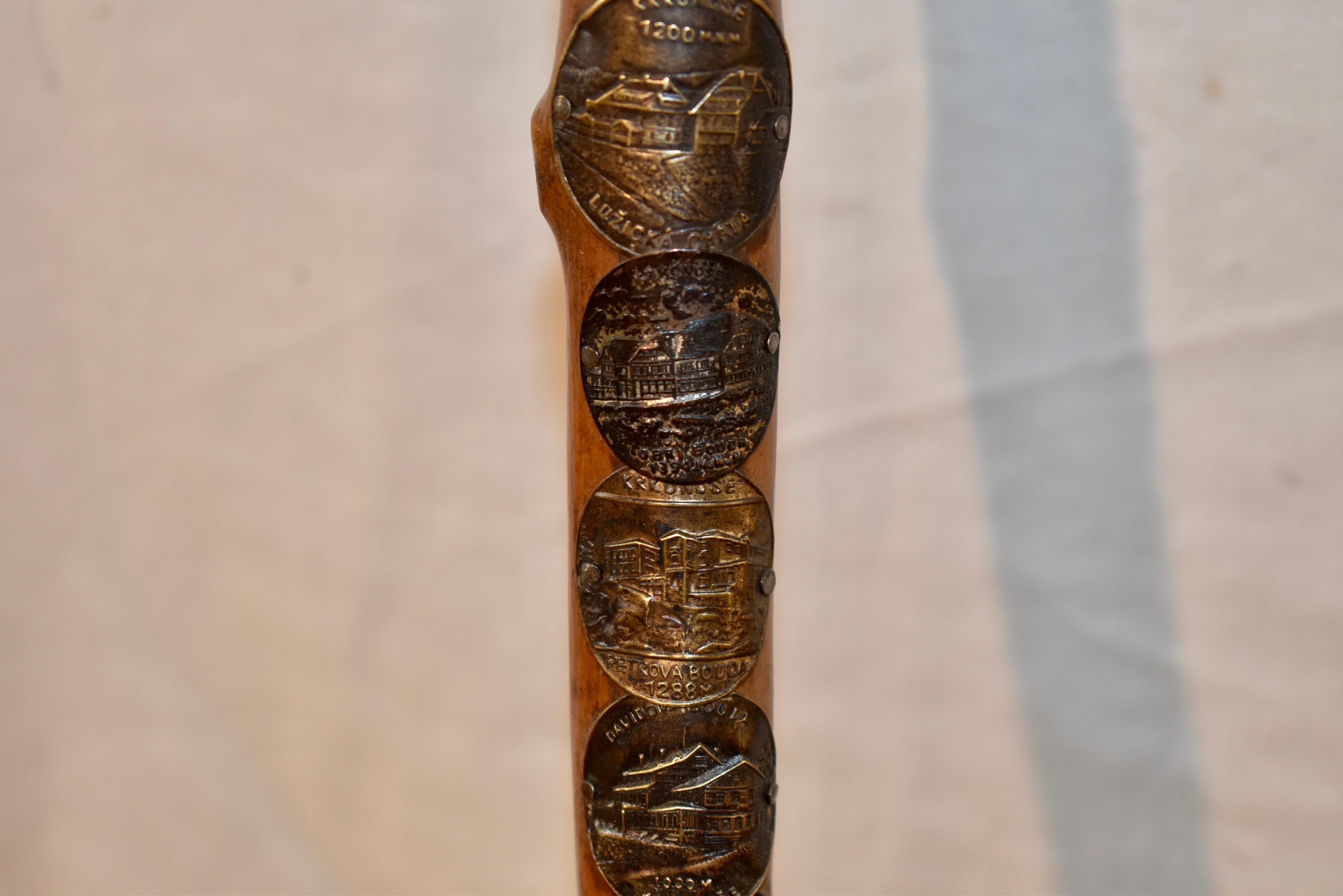 Vintage European Walking Stick with 12 Badges For Sale 4