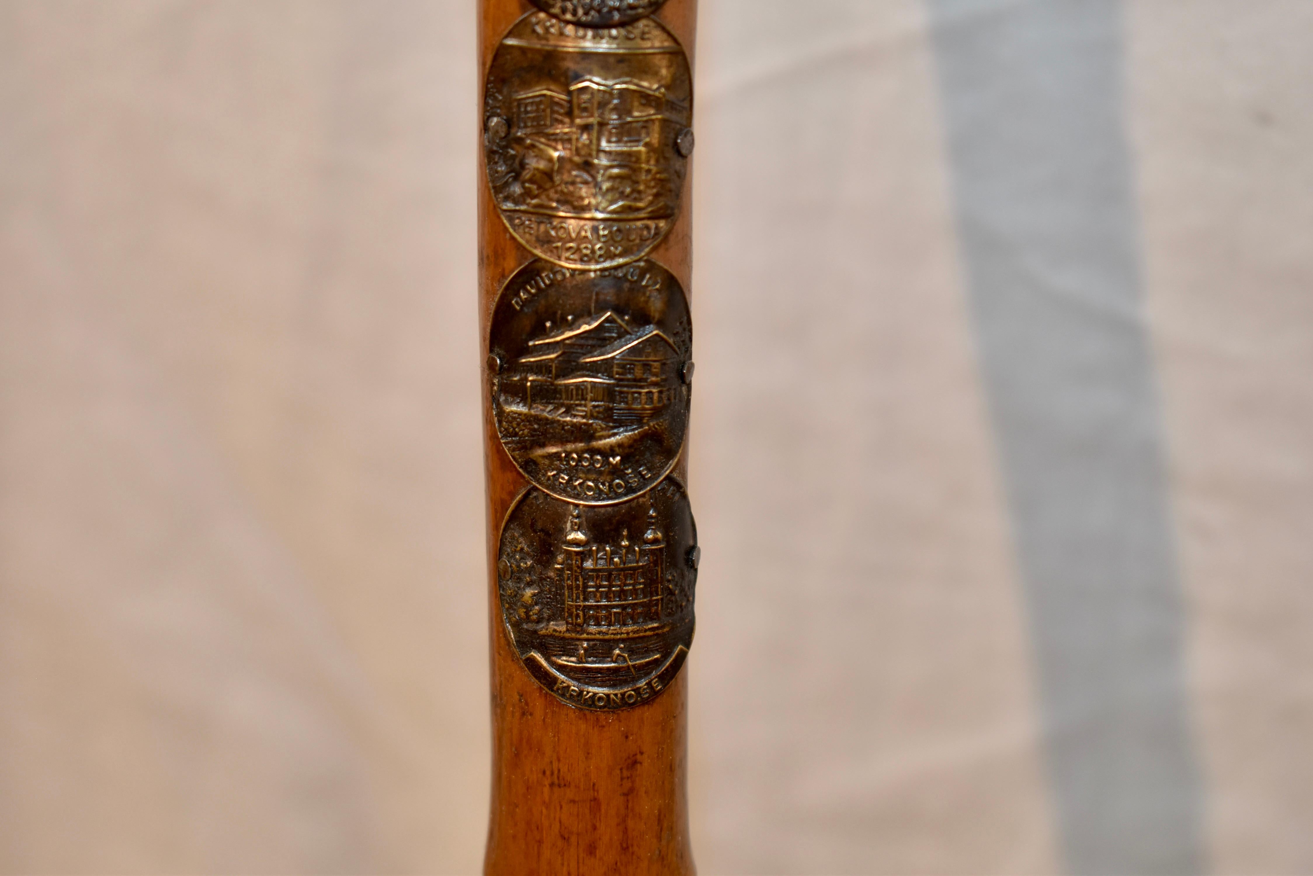 Vintage European Walking Stick with 12 Badges For Sale 5