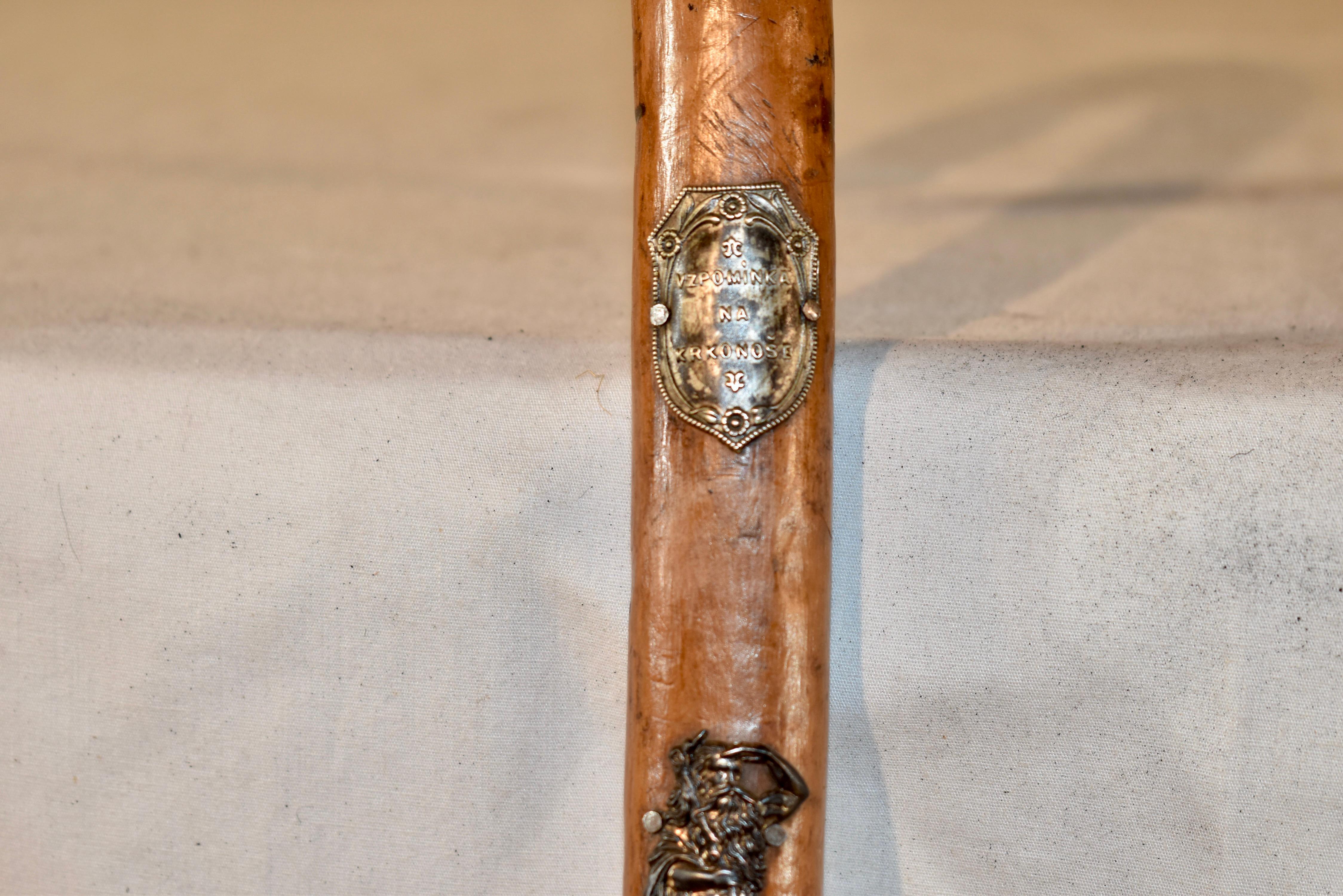 Metal Vintage European Walking Stick with 12 Badges For Sale