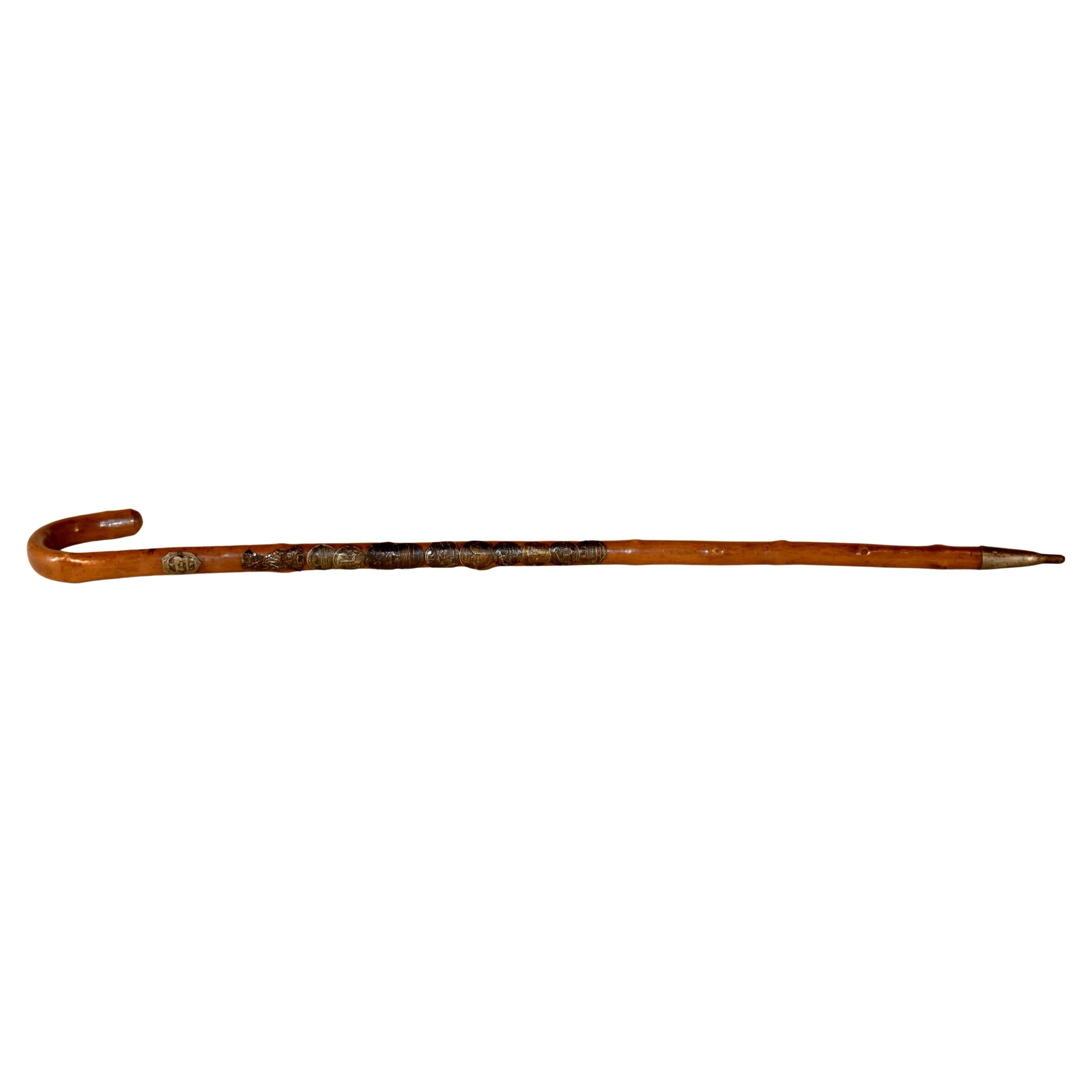 Vintage European Walking Stick with 12 Badges For Sale