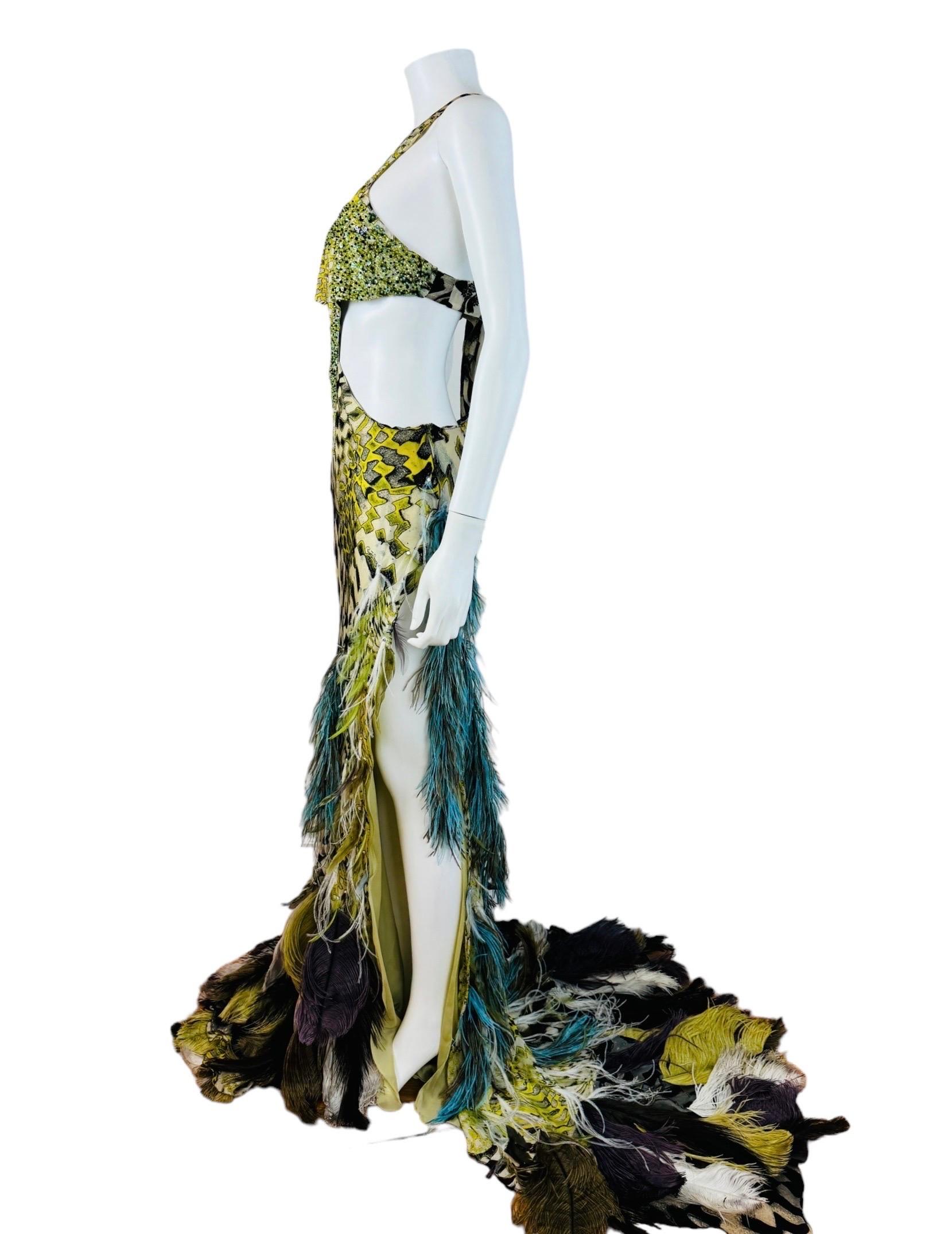 Vintage F/W 2003 Runway Roberto Cavalli Beaded Cut Out Feather Gown Dress 6