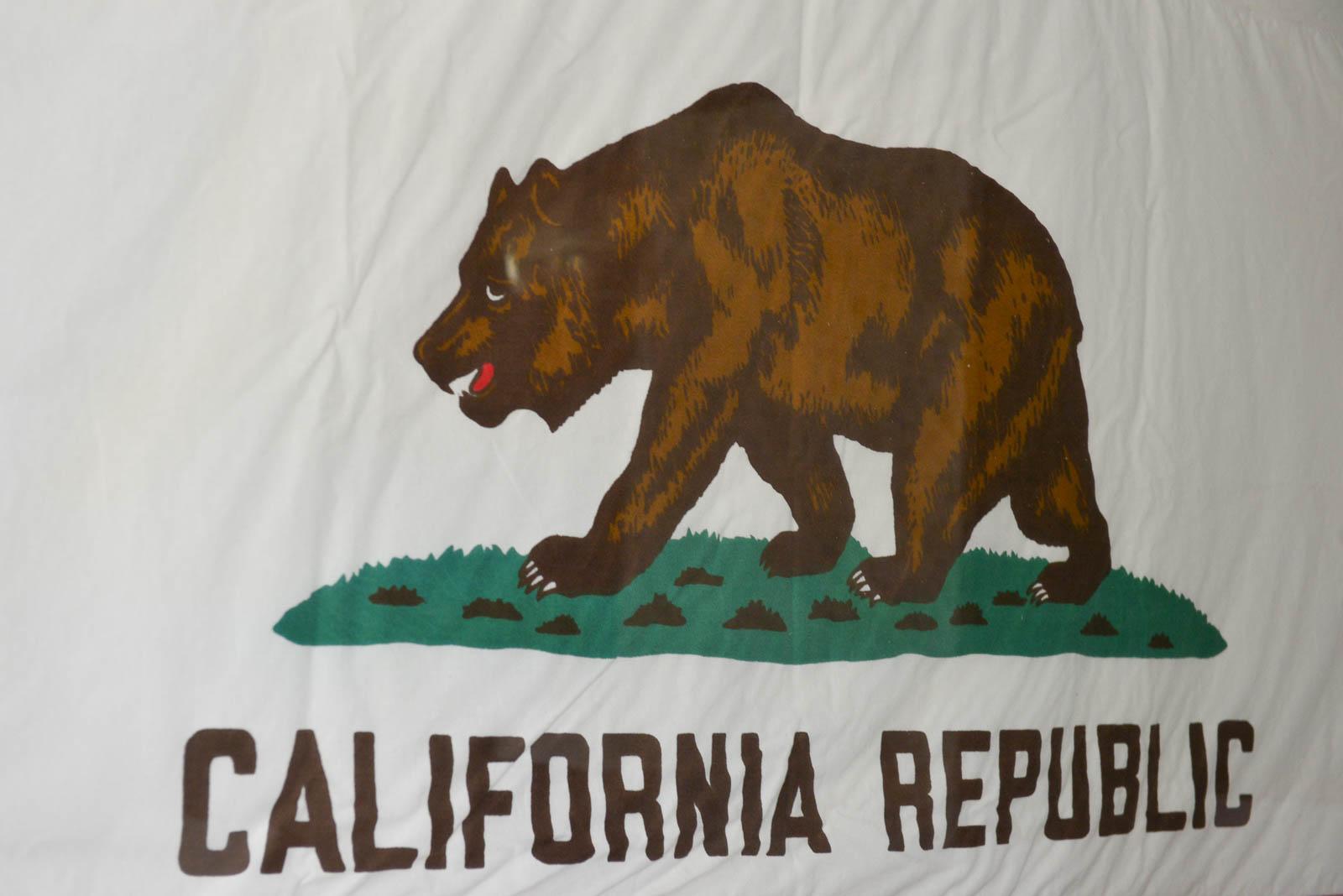 American Vintage Fabric California State Bear Flag