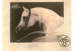Vintage Fairchild Paris ‘San Jacinto’ (Hermès Tribute) – Signed Ltd Ed Print