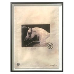 Vintage Fairchild Paris ‘San Jacinto’ (Hermès Tribute) – Signed Ltd Ed Print