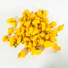 Vintage Fairground Shooting Target Ducks