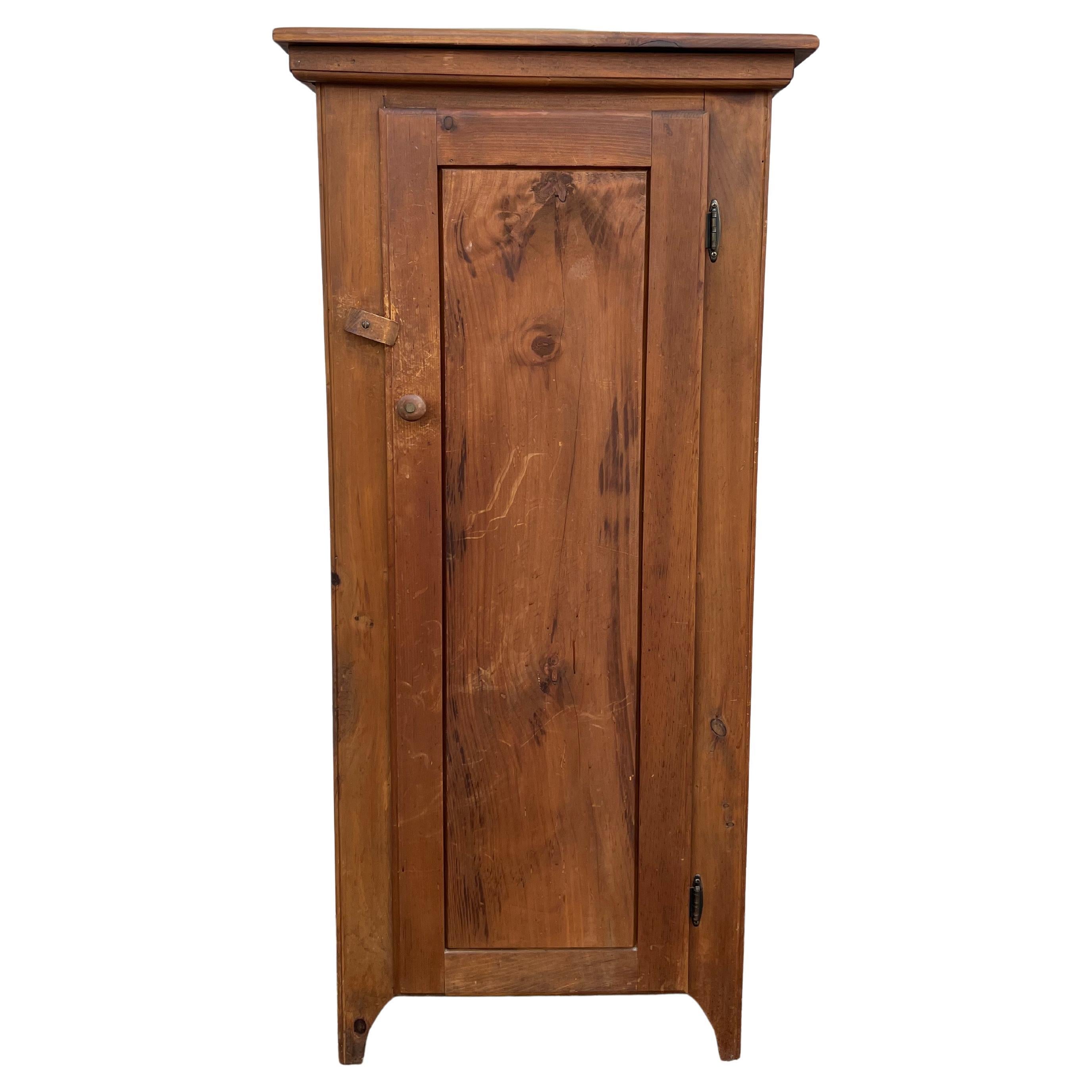 Vintage Farmhouse Style Freestanding Pine Cabinet with Shelves