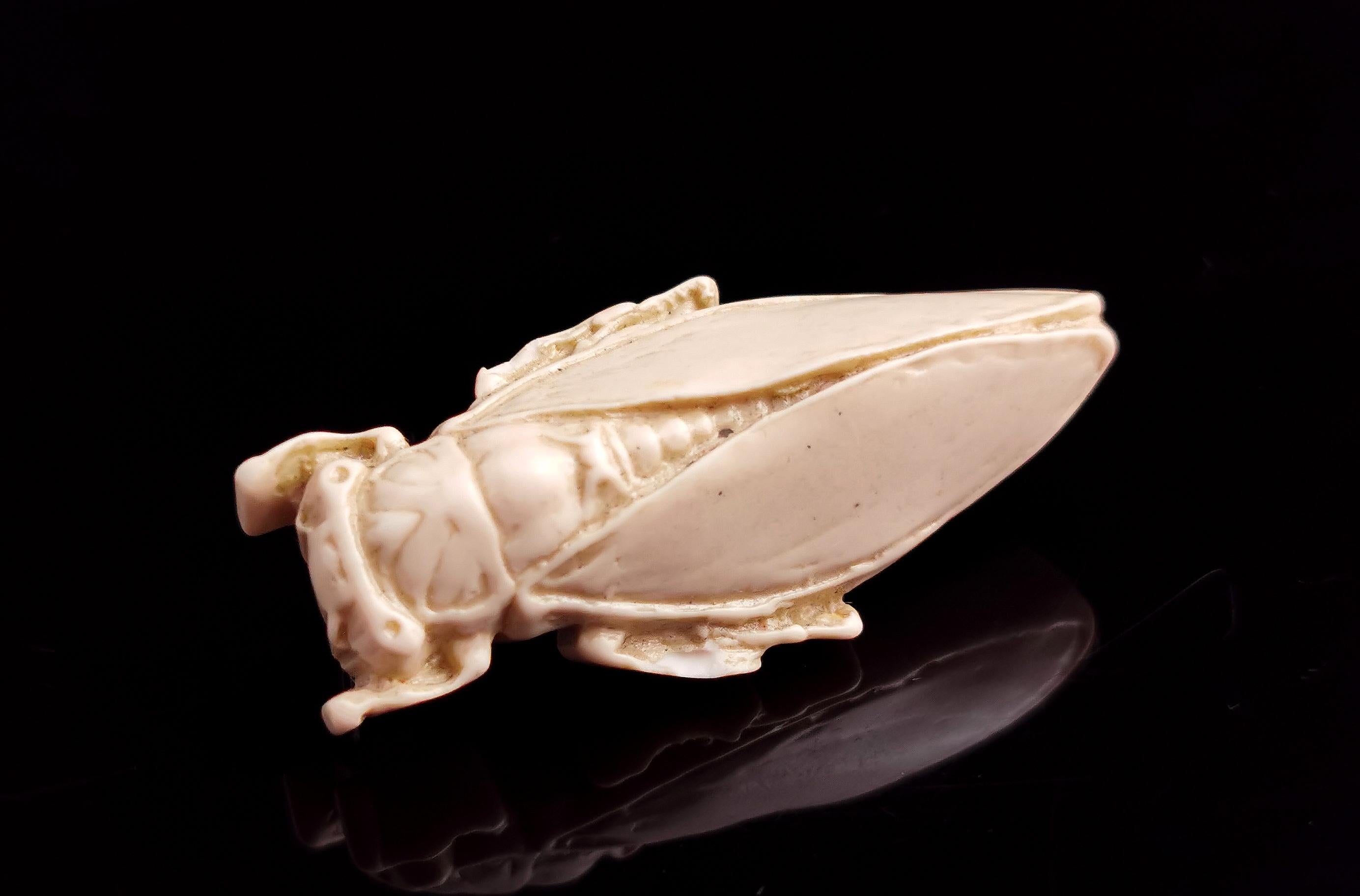 A fab vintage ivorine or faux bone resin cicada brooch.

Made in an Art Nouveau style, this is a later vintage piece made from molded resin and painted in a warm creamy beige.

It is a medium size fairly lightweight brooch and has a brass safety