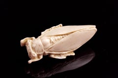 Vintage faux bone cicada brooch, insect pin