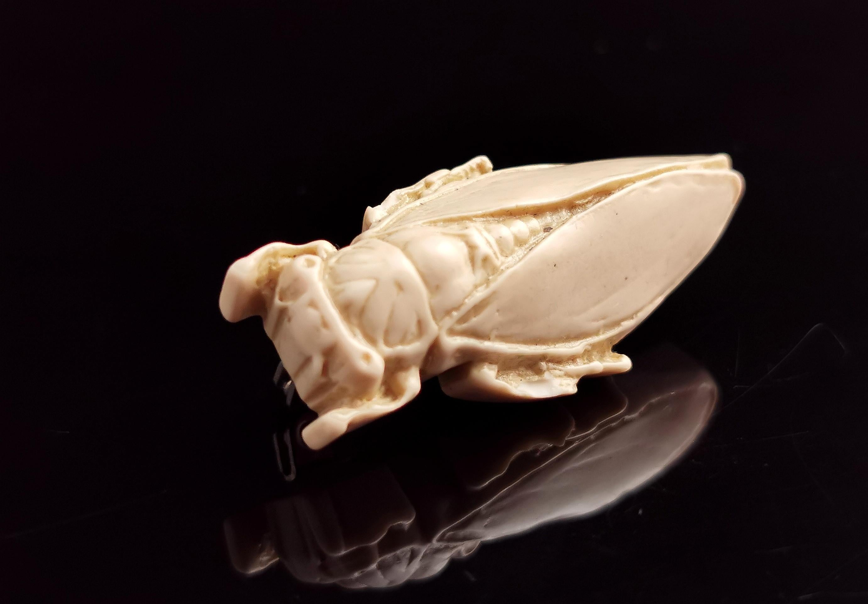 cicada shell sculpture