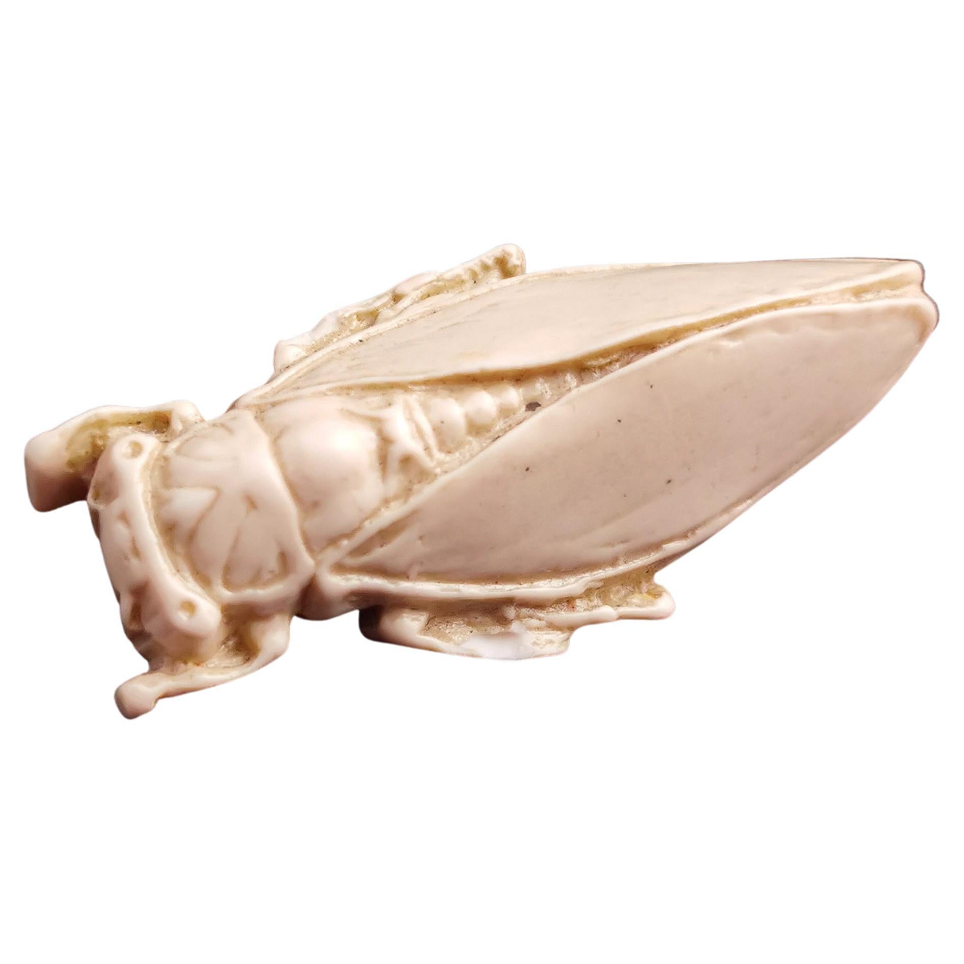 Vintage faux bone cicada brooch, insect pin