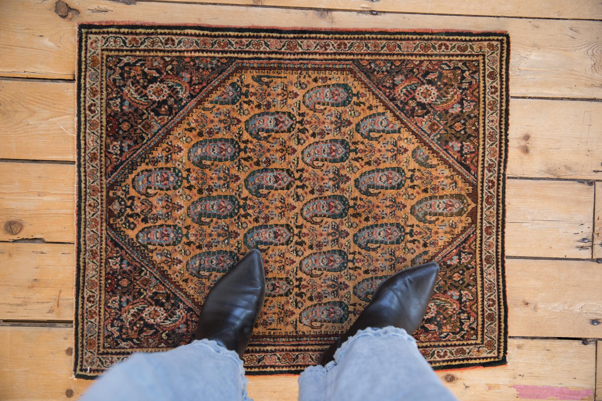 :: Sich wiederholendes, bedecktes Feld mit einem Paisley-Boteh-Motiv, das in versetzten Reihen und Spalten angeordnet ist, die jeweils in dieselbe Richtung weisen und jeweils eine eigene keimende Pflanze im Inneren haben. Die Eckzwickel sind mit