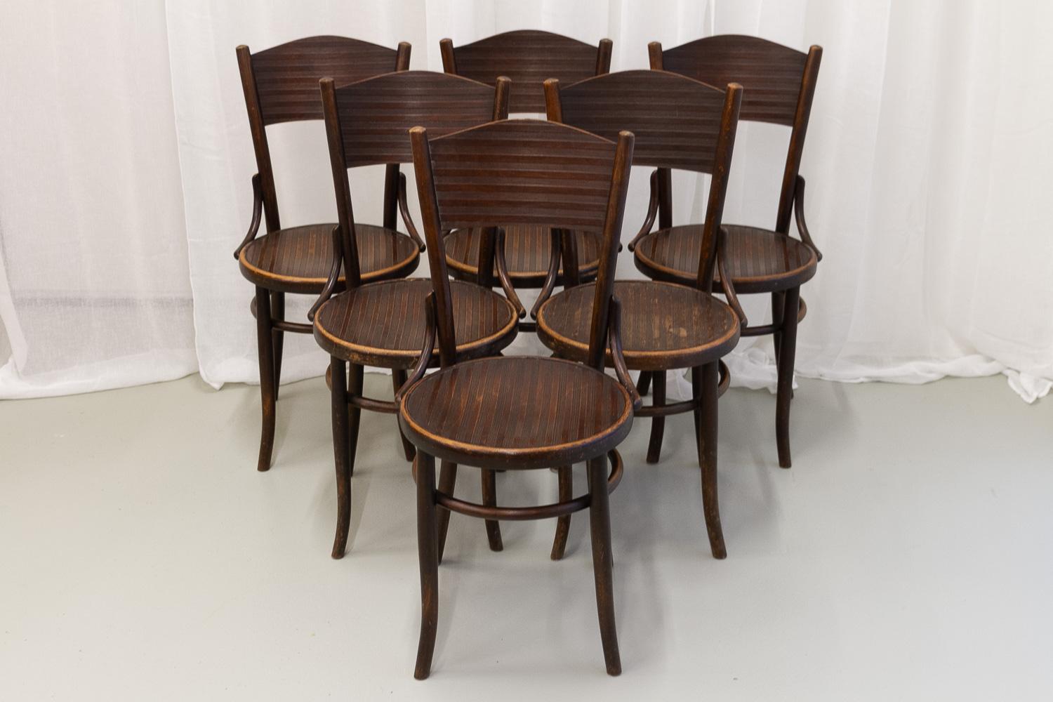 Chaises de bistro vintage Fischel en bois cintré, années 1920 Ensemble de 6. en vente 6