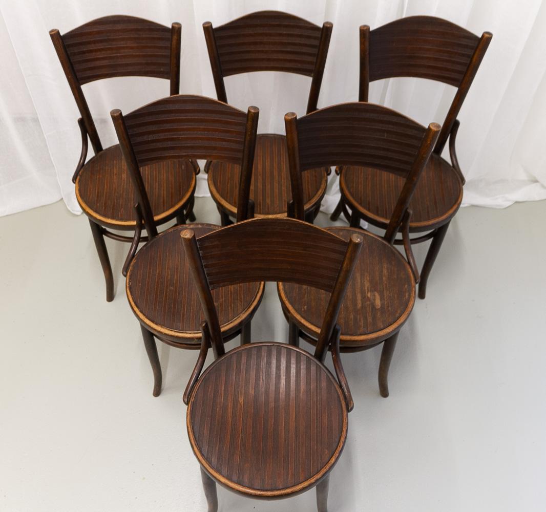 Chaises de bistro vintage Fischel en bois cintré, années 1920 Ensemble de 6. en vente 8