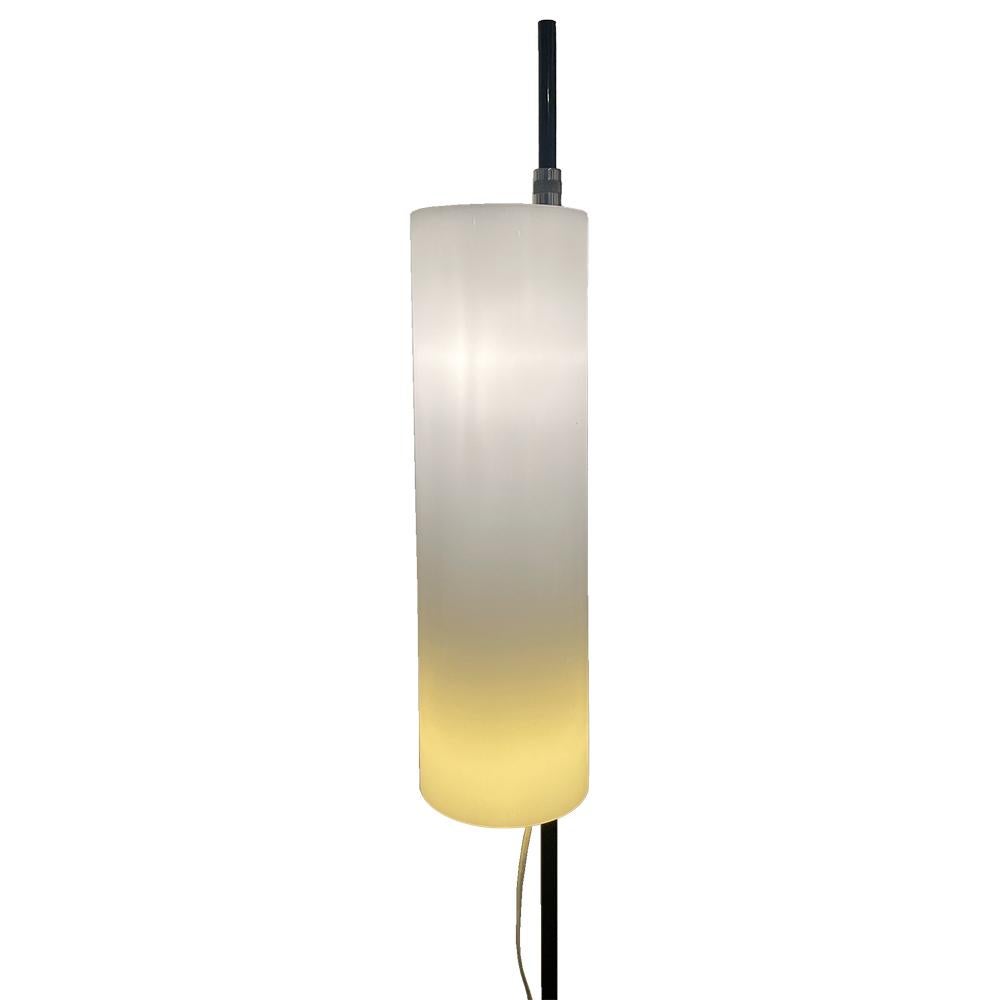 Avec une esthétique épurée et minimaliste, ce lampadaire vintage est une pièce intemporelle. Créé avec la mission de modeler la lumière pour créer l'atmosphère parfaite, il dispose de trois fonctions différentes de réglage de la luminosité. Elegant
