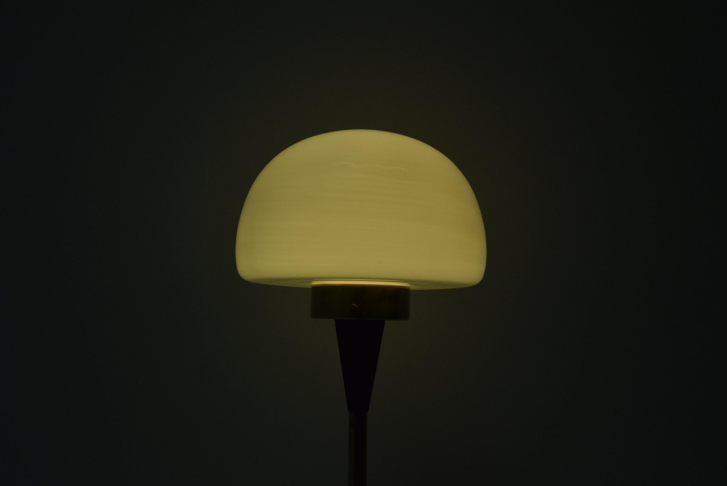 Vintage Floor Lamp Designed by Jaroslav Bejvl for Lidokov, 1960's.  For Sale 5