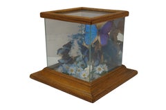 Vintage Floral Butterfly Taxidermy Apothecary Shadow Box Display Case Specimen
