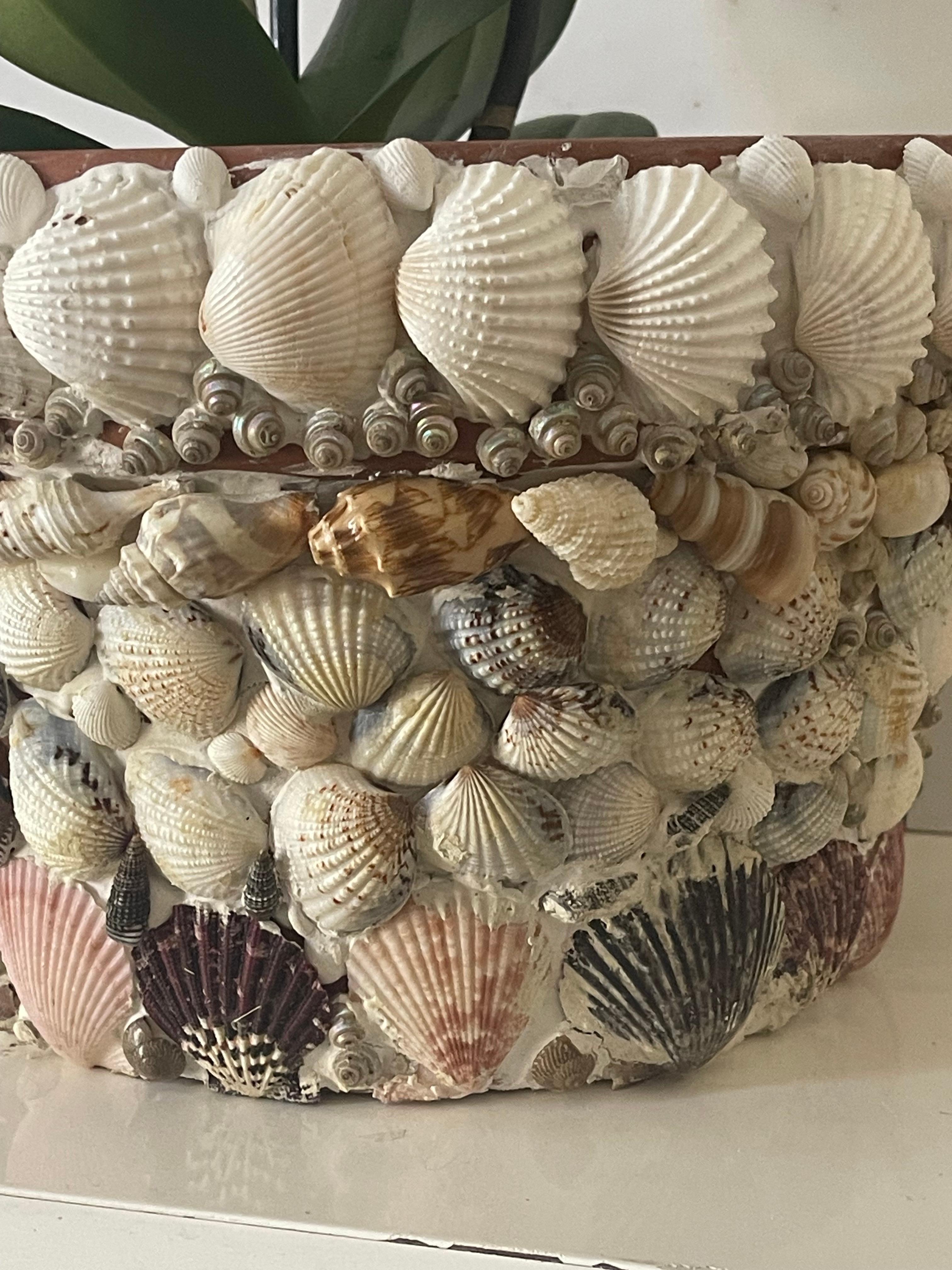 Vintage Florida Muscheln inkrustiert Pflanzer (amerikanisch) im Angebot