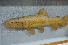 Boîte d'ombres vintage d'art populaire peinte en bois « Brown Trout with Fly », fausse taxidermie