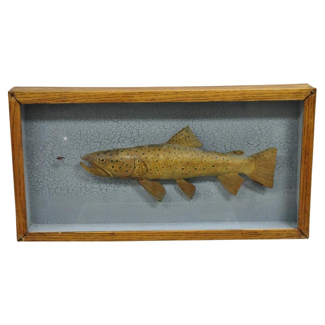 Vintage Folk Art in legno dipinto "Trota marrone con mosca" Shadowbox Faux Taxidermy
