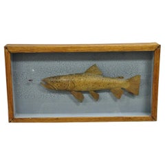 Vintage Folk Art Painted Wood "Brown Trout with Fly" Shadowbox Faux Taxidermy
