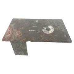 Vintage Fossil Stones Coffee Table, 1970s