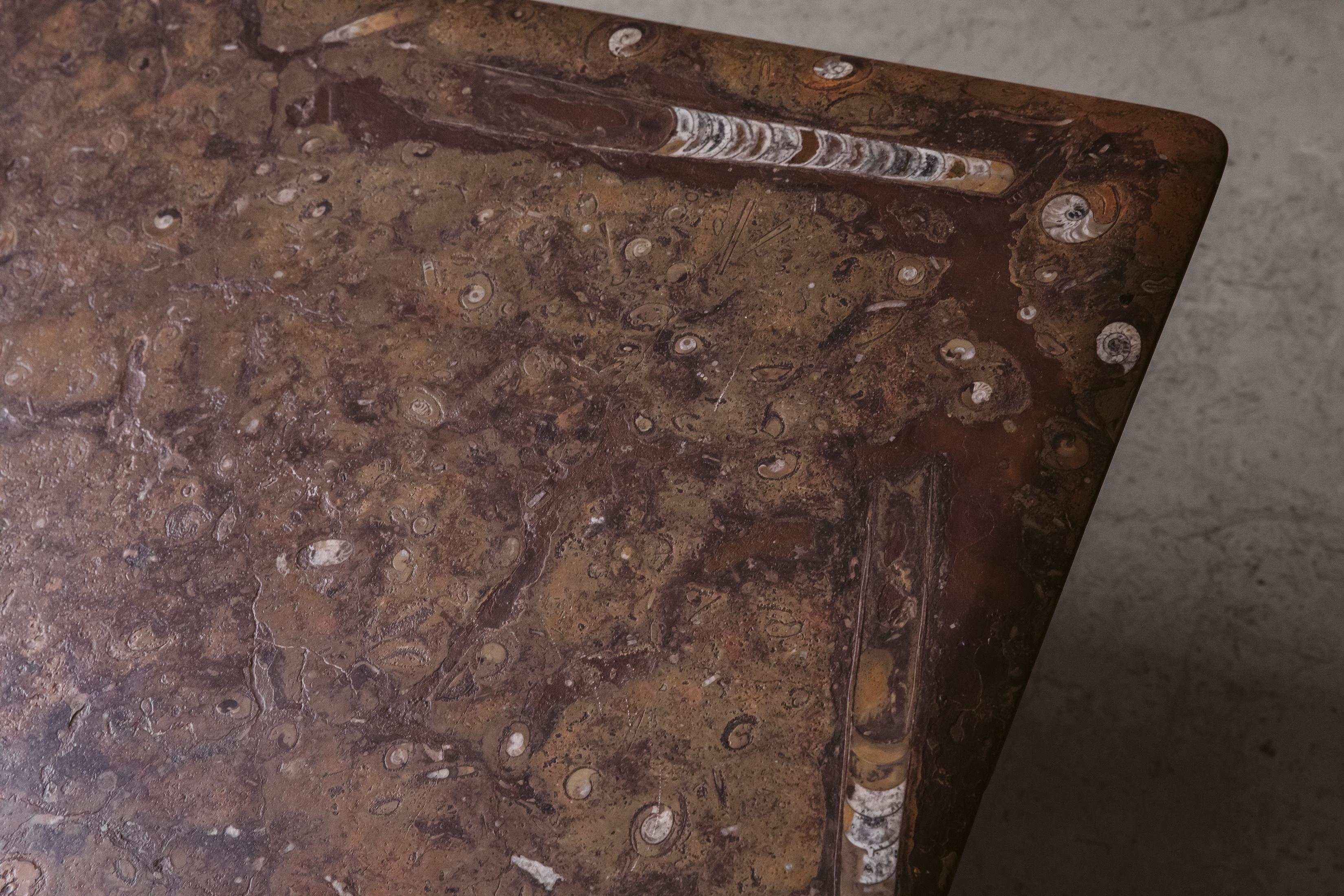 Vintage Fossilized Stone Coffee Table, From Italy, Circa 1970 1