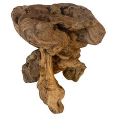 Retro Fossilized Wooden Pedestal, Side Table