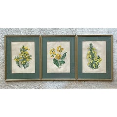 Vintage Framed Botanical Floral Illustrations - Set of 3
